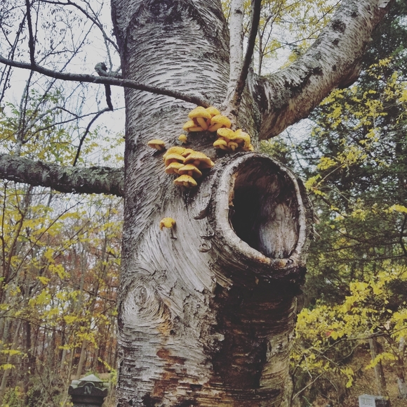 Meet your Posher, Sarah - Picture 11 of 11